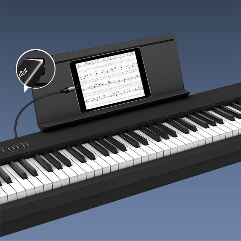 USB C to USB B 2.0 for MIDI Co - đánh giá và giá Midi Controller Pad